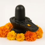 Rudrabhishek Kit - Image 2